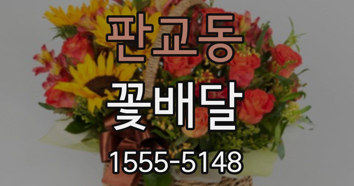 판교동 꽃배달