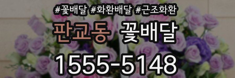 판교동 꽃배달