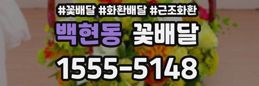 백현동 꽃배달