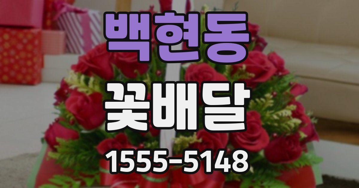 백현동 꽃배달