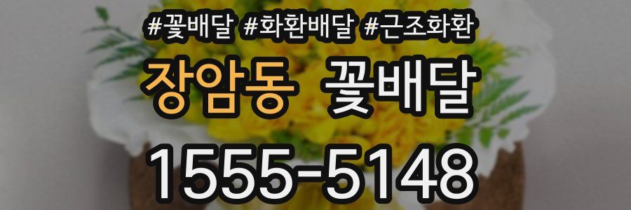 장암동 꽃배달