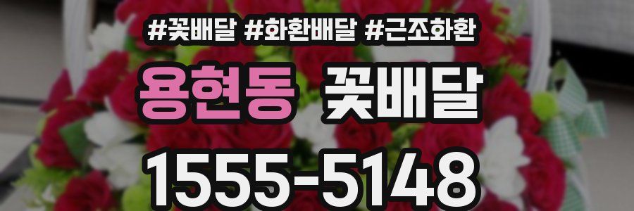 용현동 꽃배달