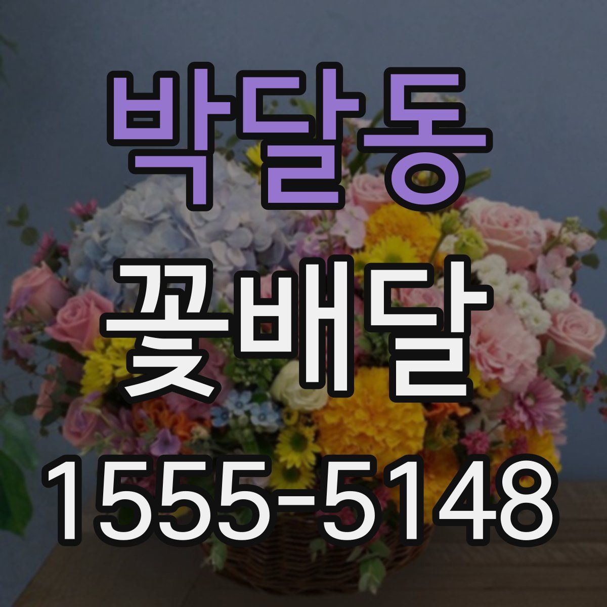 박달동 꽃배달