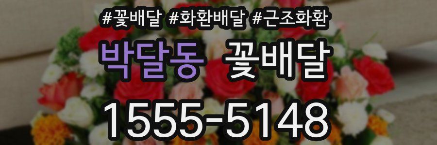 박달동 꽃배달