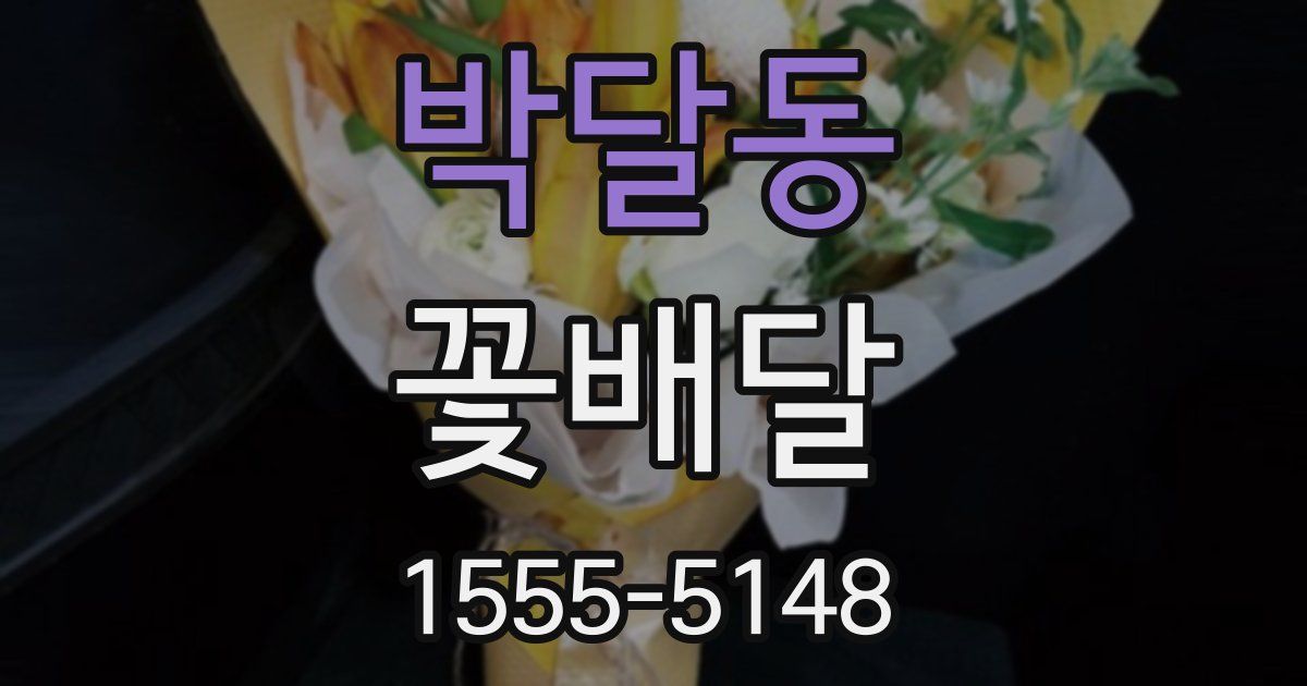 박달동 꽃배달