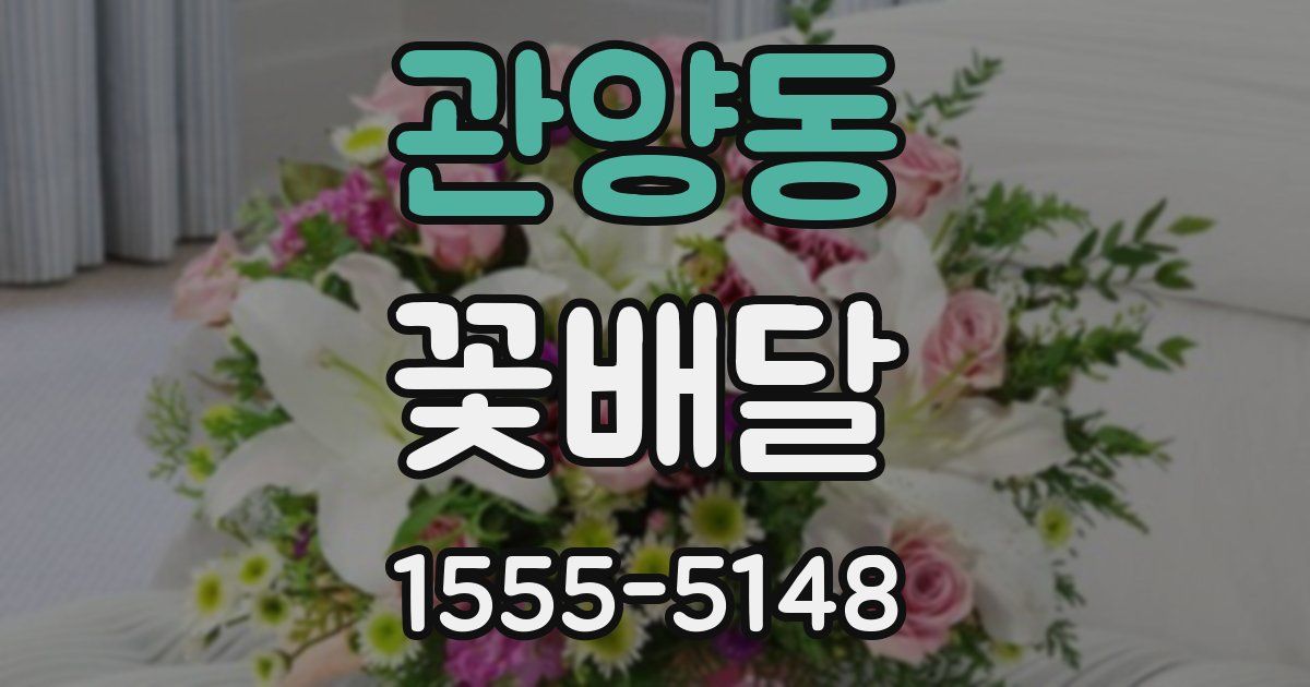 관양동 꽃배달