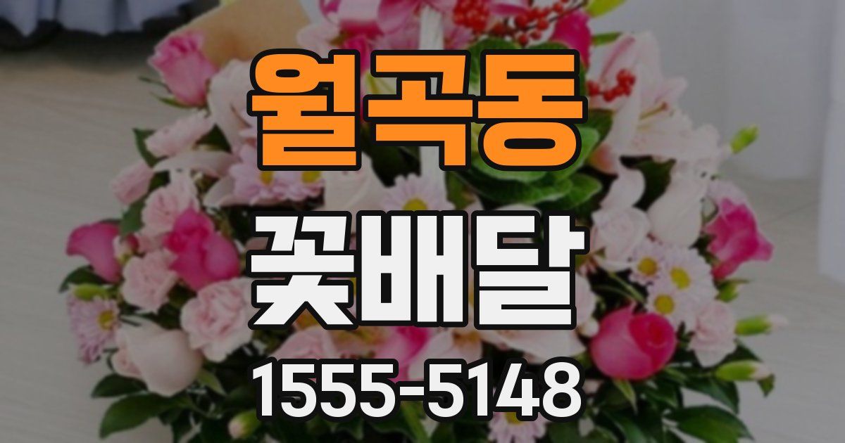 월곡동 꽃배달