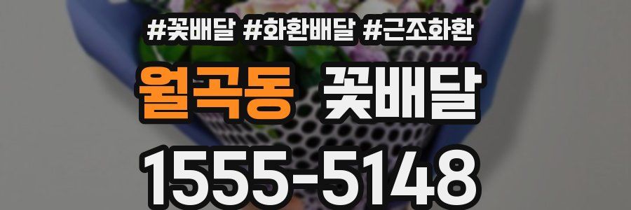 월곡동 꽃배달