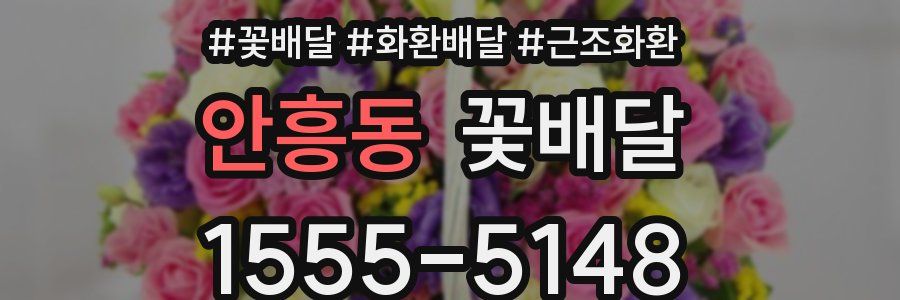 안흥동 꽃배달