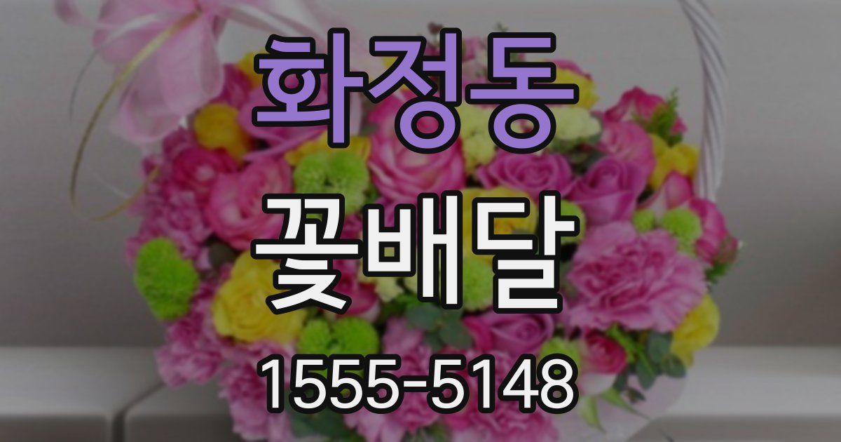 화정동 꽃배달