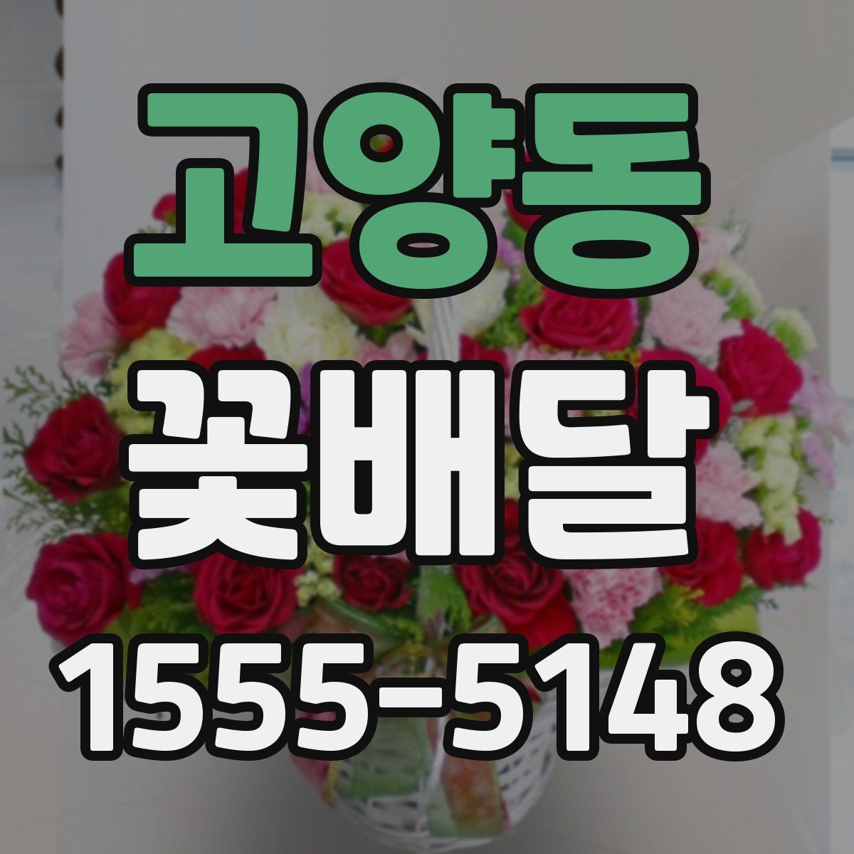 고양동 꽃배달