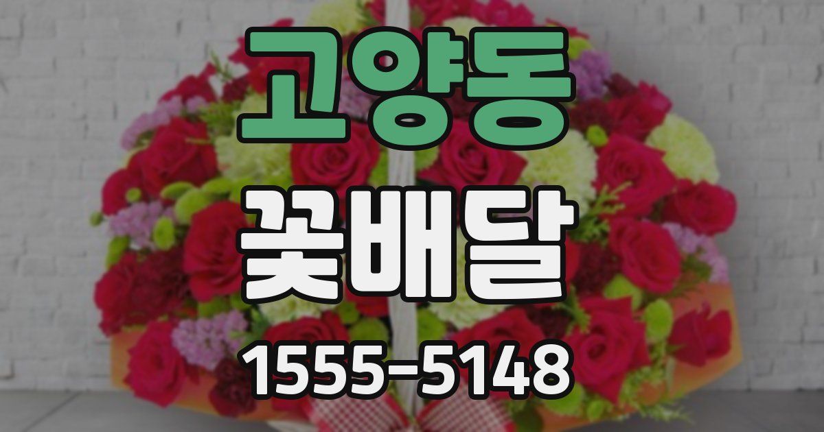 고양동 꽃배달