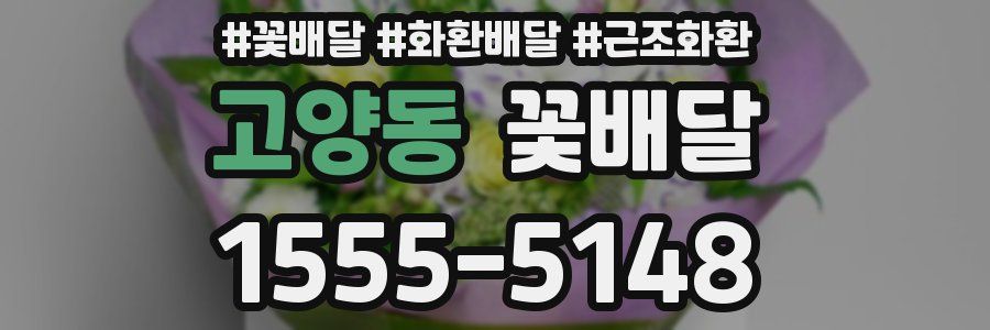 고양동 꽃배달
