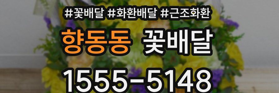 향동동 꽃배달