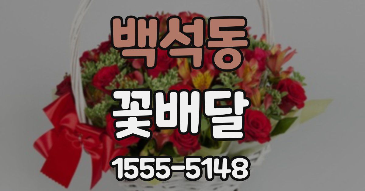 백석동 꽃배달