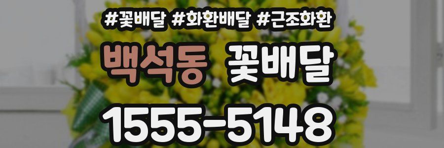 백석동 꽃배달