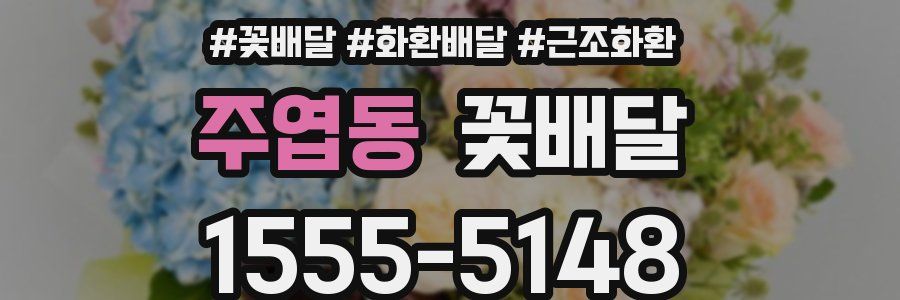 주엽동 꽃배달