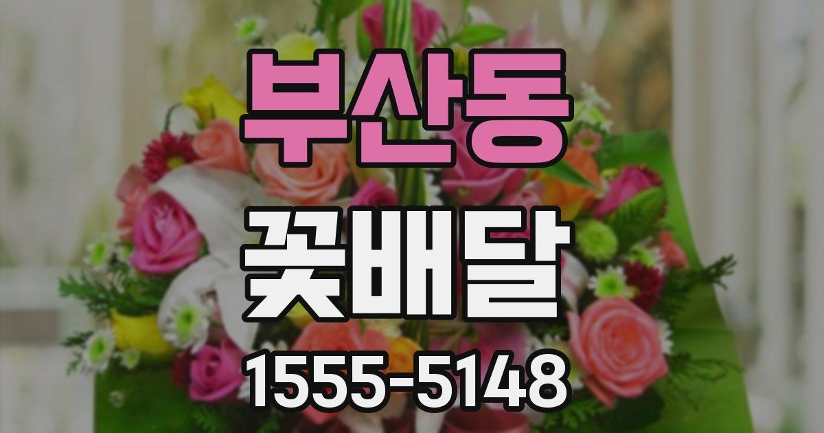 부산동 꽃배달