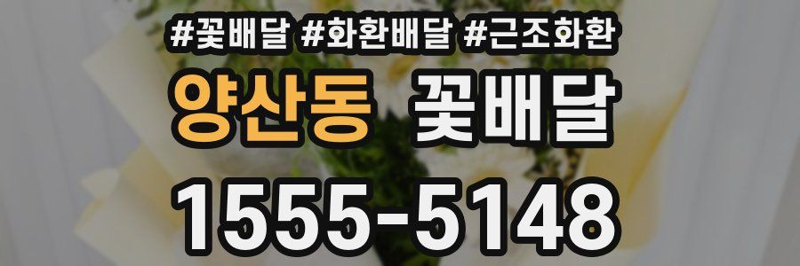 양산동 꽃배달