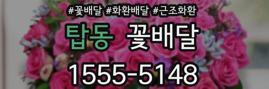 탑동 꽃배달