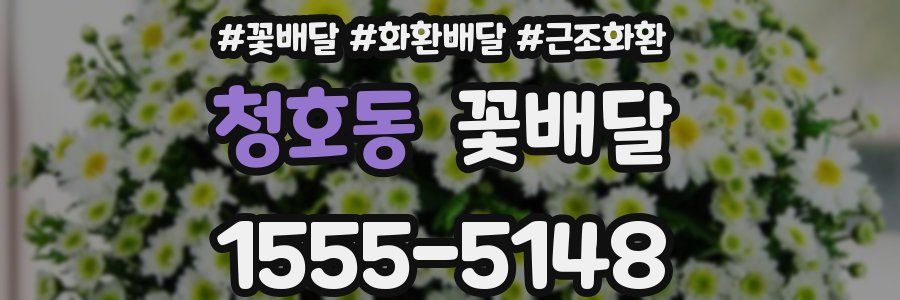 청호동 꽃배달