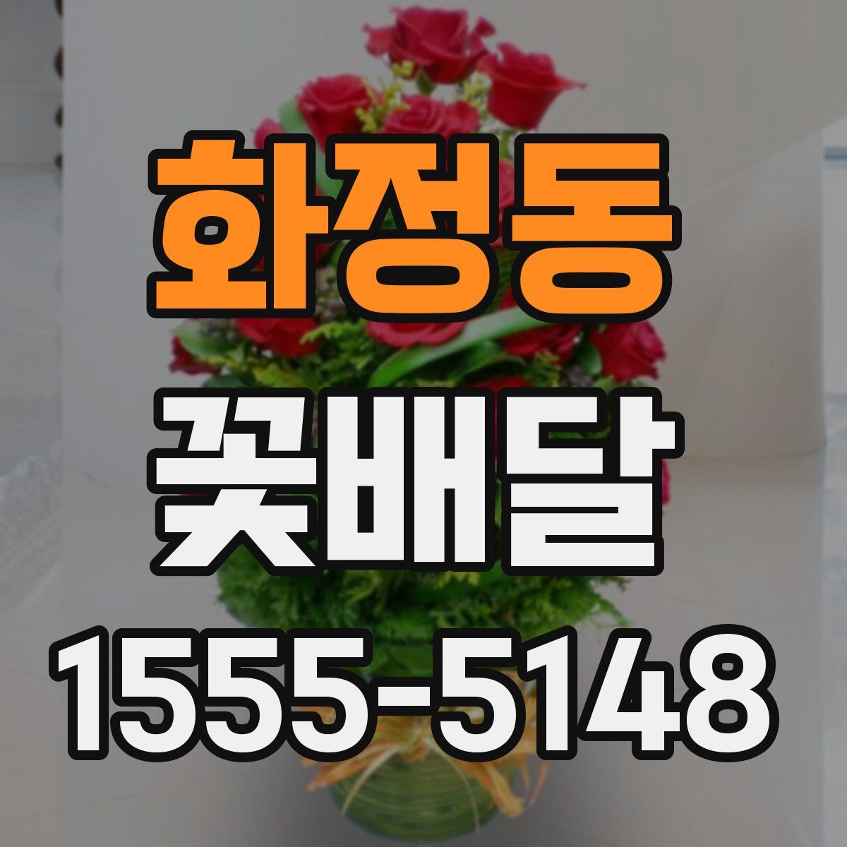 화정동 꽃배달