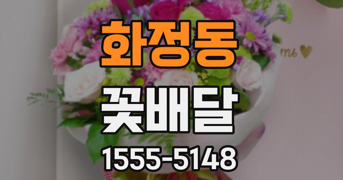 화정동 꽃배달