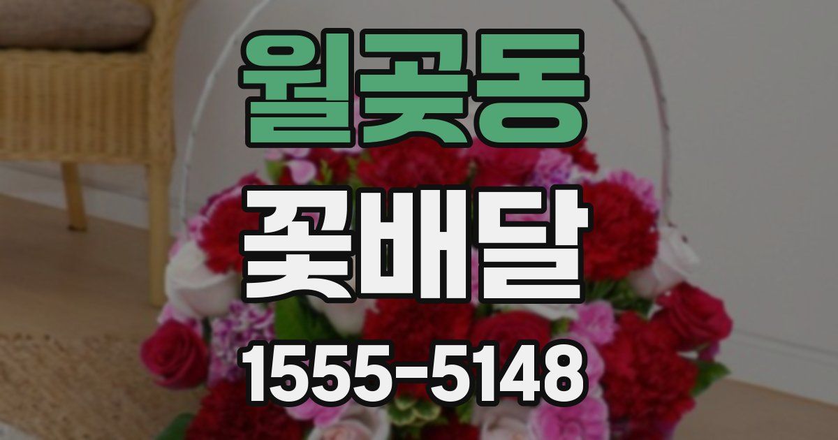 월곶동 꽃배달