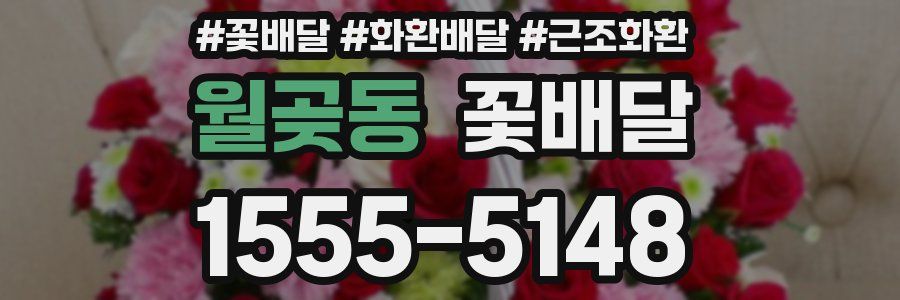 월곶동 꽃배달