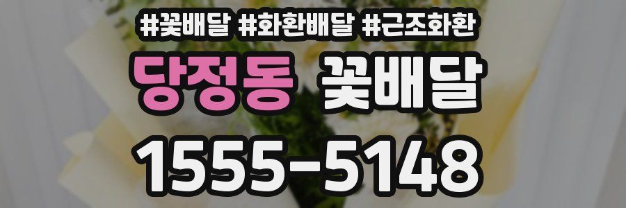 당정동 꽃배달