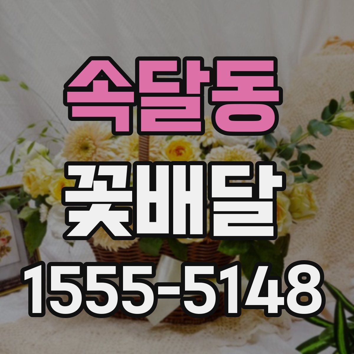 속달동 꽃배달