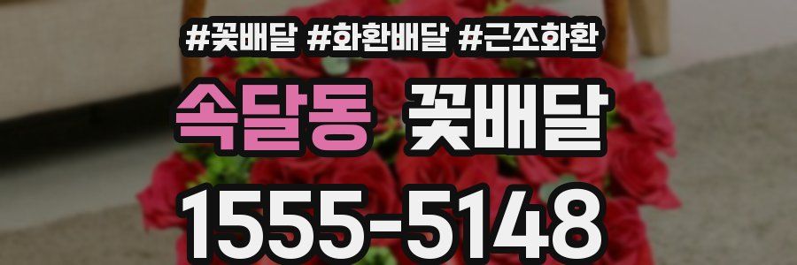 속달동 꽃배달