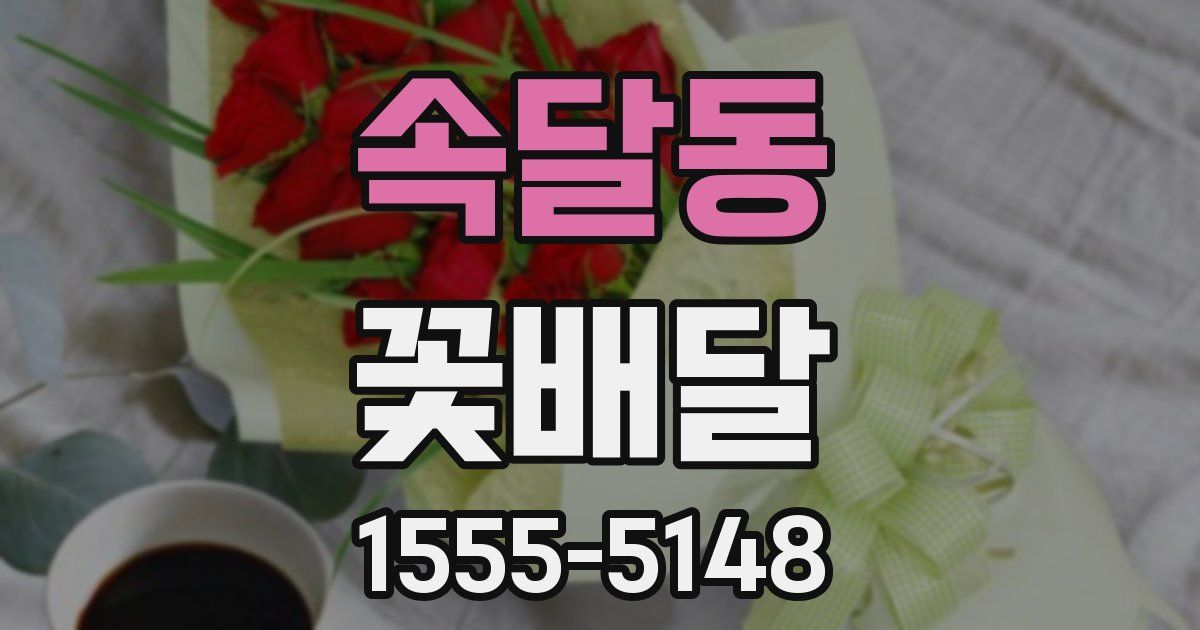 속달동 꽃배달