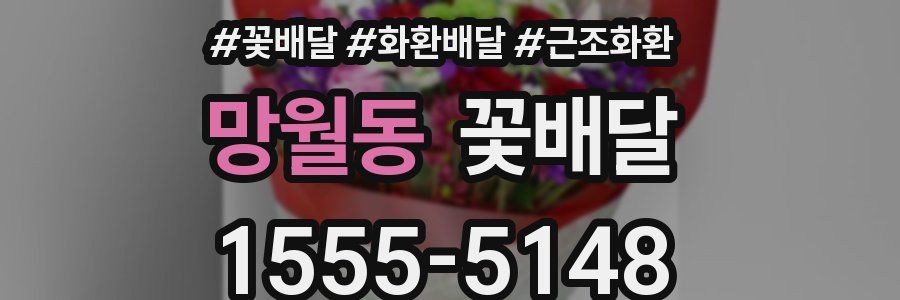 망월동 꽃배달