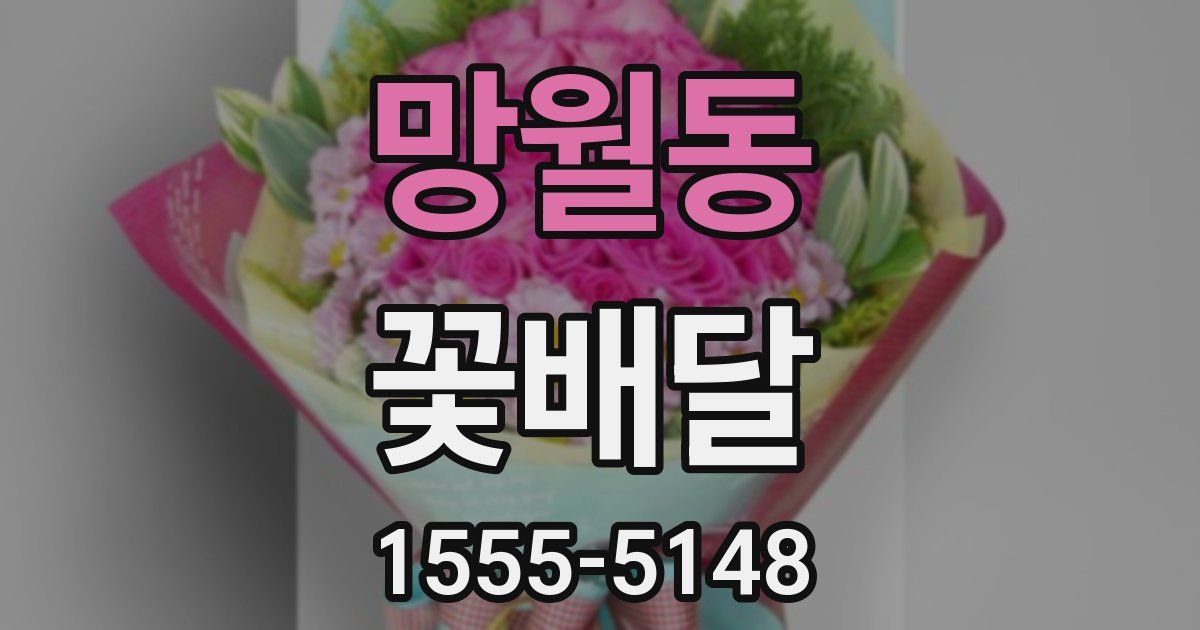 망월동 꽃배달
