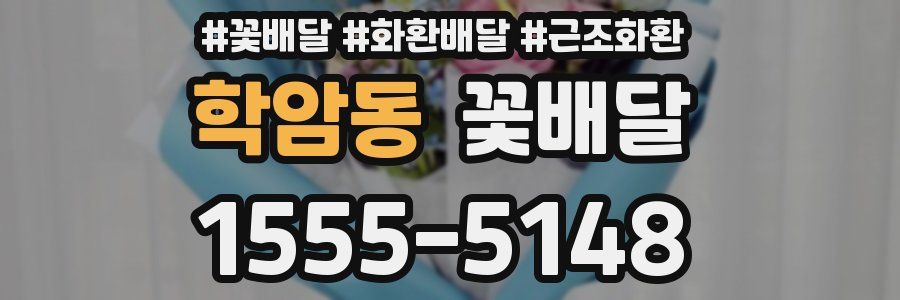 학암동 꽃배달