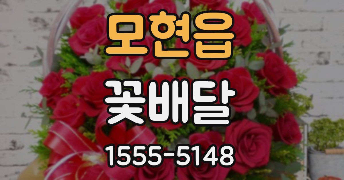 모현읍 꽃배달