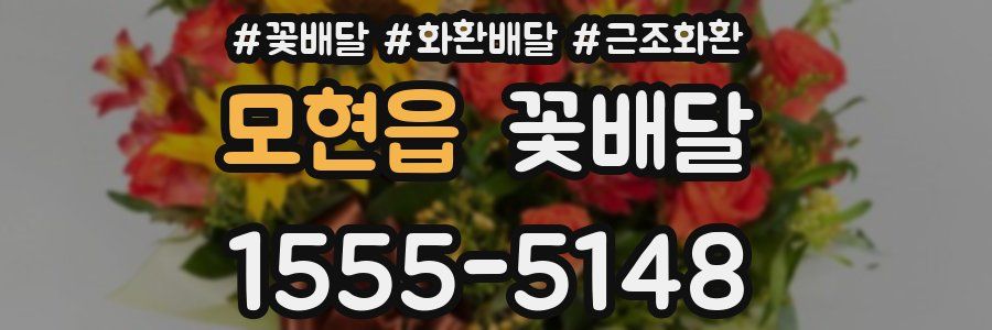 모현읍 꽃배달
