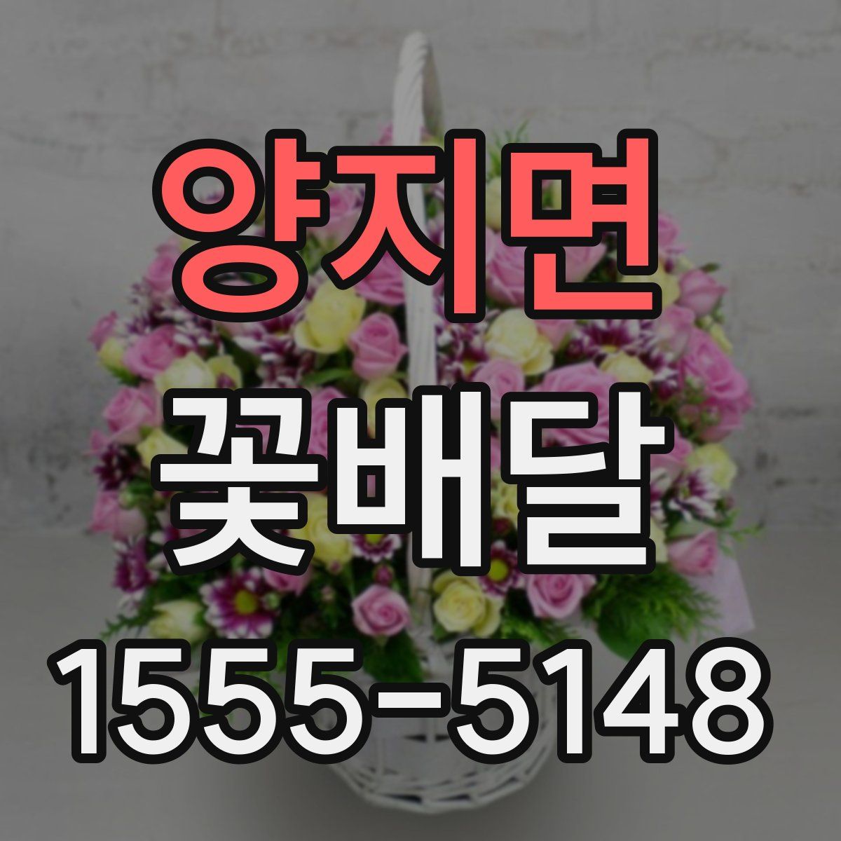 양지면 꽃배달