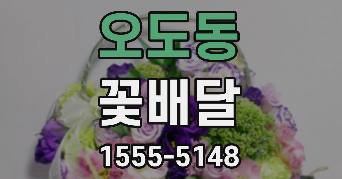 오도동 꽃배달