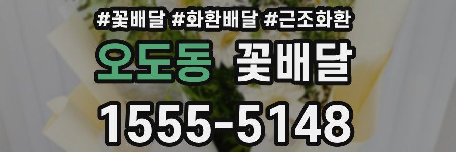 오도동 꽃배달