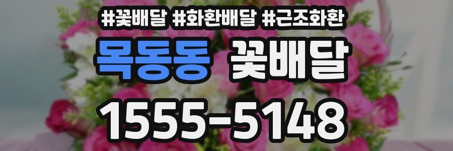 목동동 꽃배달