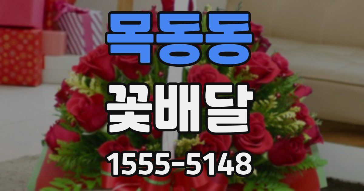 목동동 꽃배달