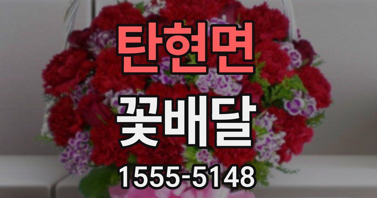 탄현면 꽃배달