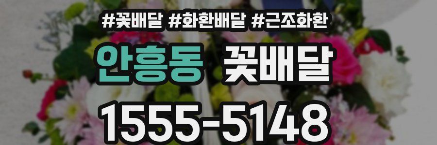 안흥동 꽃배달