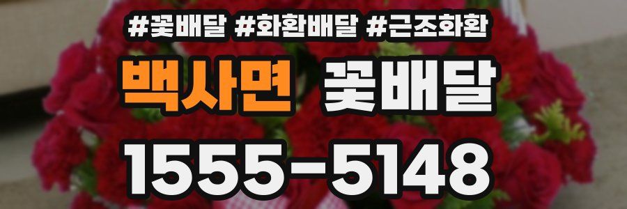 백사면 꽃배달