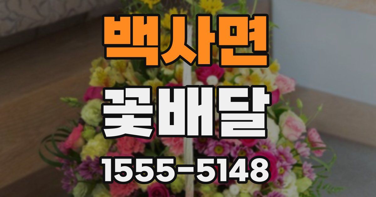 백사면 꽃배달