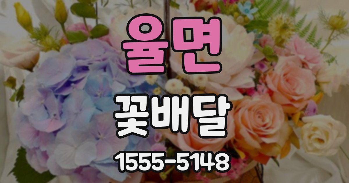율면 꽃배달