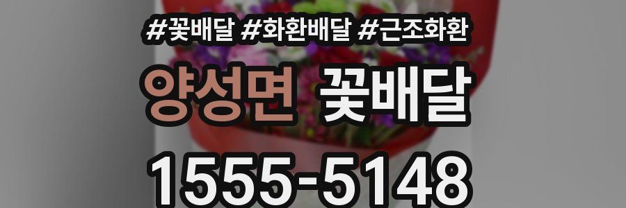 양성면 꽃배달