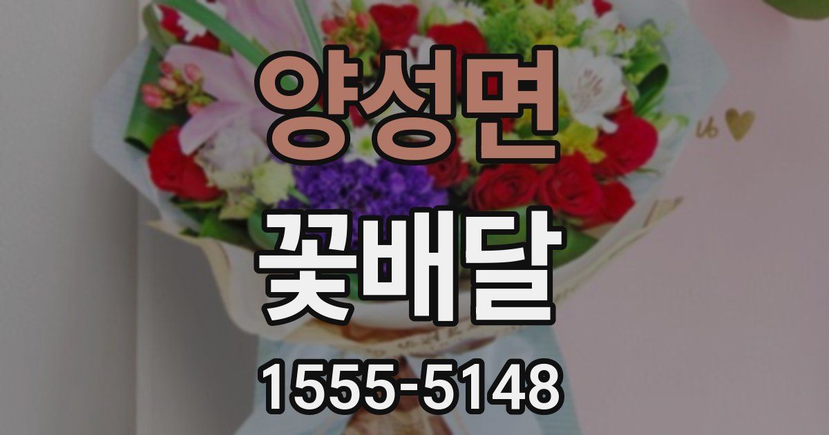 양성면 꽃배달